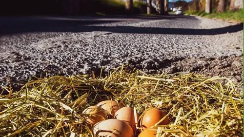 Rouen : les motards vont placer des œufs de Pâques dans les nids de...