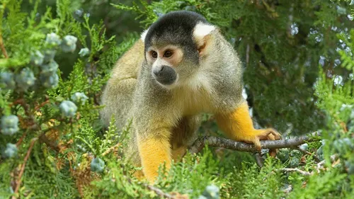 Gagnez vos entrées au Zoo des Sables d'Olonne !