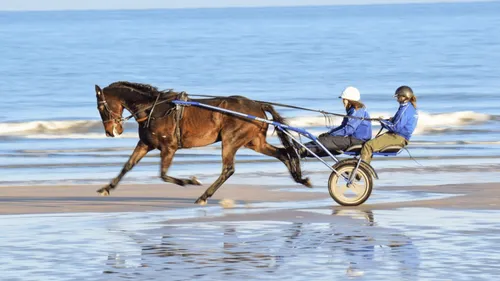 Gagnez votre baptême en Sulky à l'occasion des Estivales de Cabourg !