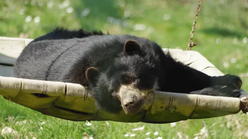 Gagnez votre pass famille pour le Zoo de Cerza !