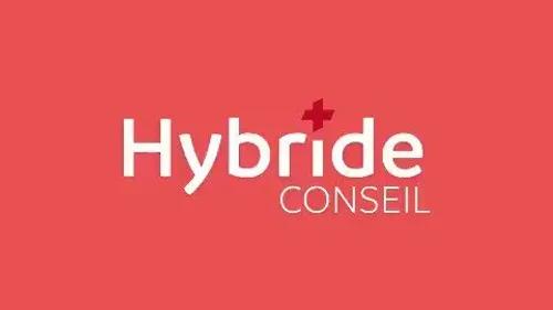 Hybride Conseil : un Piment Vert pour vous aider dans le monde digital