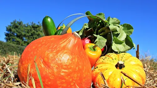 Livraison de paniers de fruits et légumes locaux : répondez à cette...