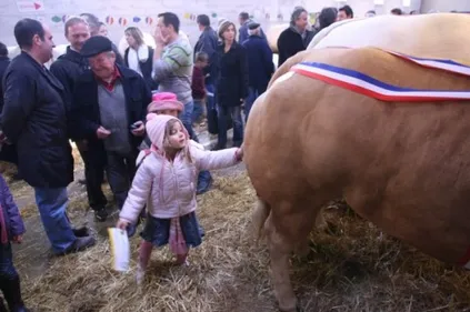 Feurs : top départ pour la 141e édition du comice