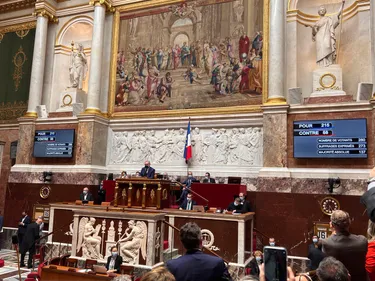 Les députés adoptent en première lecture l'inscription du droit à...