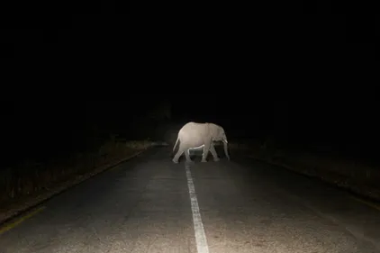 Le Zimbabwe cherche des alliés favorables au commerce international...