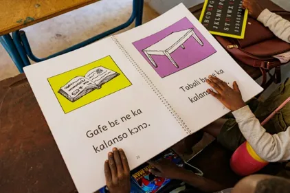 Au Mali, pays aux 70 langues, pourquoi en avoir une seule officielle ?