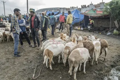 "Tout augmente, sauf les salaires": les Ethiopiens face à une...
