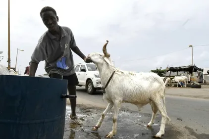 Pour les Sénégalais, la note salée de la Tabaski