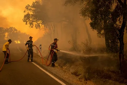 Maroc: accalmie sur le front des feux de forêt dans le nord