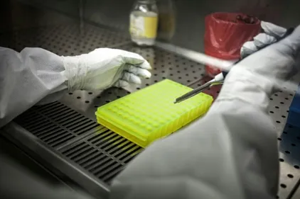 Ebola: deux traitements fortement recommandés par l'OMS