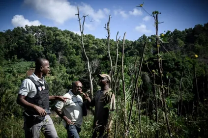 A Mayotte, l'Etat lutte aussi contre la déforestation et les...