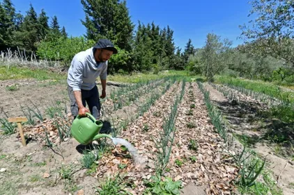 En Tunisie, la permaculture s'épanouit face aux défis climatiques