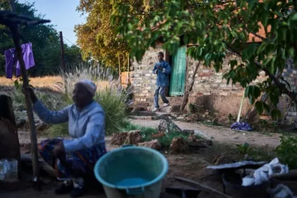 Au Zimbabwe, les éléphants trop nombreux menacent l'homme
