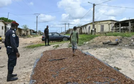 La difficile lutte contre le travail des enfants dans le cacao en...