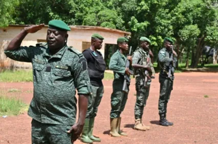 La forêt de la Téné, ultime rempart contre la déforestation en Côte...