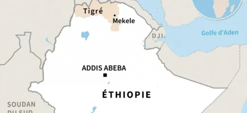 Tigré: les forces rebelles entrent dans la capitale régionale,...