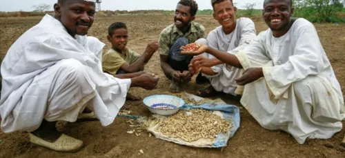 Le Soudan reçoit une aide massive du FMI