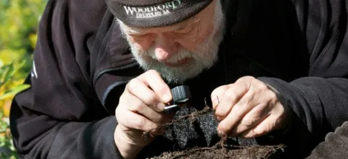 Truffes noires à la pointe de l'Afrique: pari exotique réussi