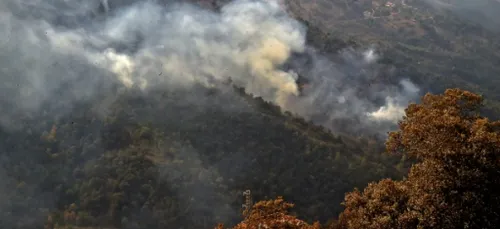 Algérie: la plupart des incendies  "maîtrisés" (Protection civile)