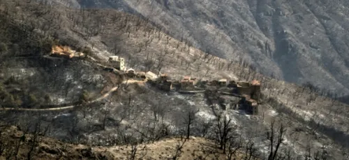 Algérie: tous les incendies ont été éteints