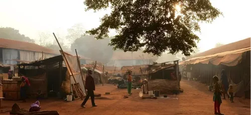 Centrafrique : "La situation est calme mais tendue. Les gens ne...
