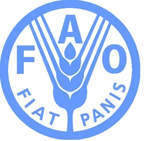 La FAO invite à accélérer la transformation et le développement...