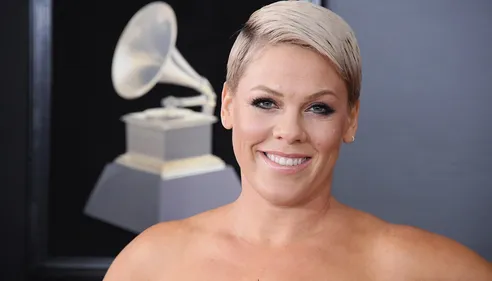 Des dessins animés pour le clip de « Can We Pretend » de Pink