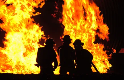 Vienne : 150 hectares détruits suite à plusieurs incendies