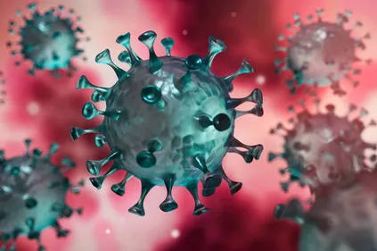 COVID-19 : l’épidémie surveillée de près en France