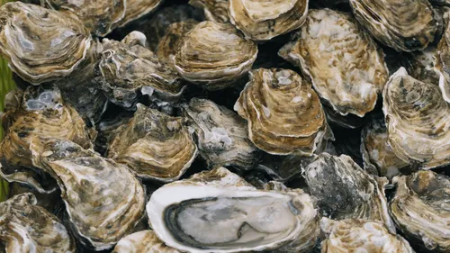 Des pêcheurs thaïlandais trouvent une perle estimée à 330 000...