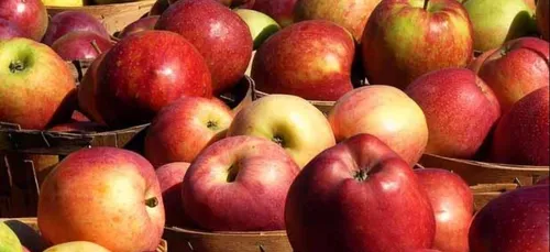 Croquez la pomme