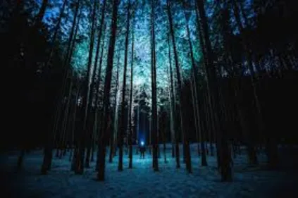 Promenons-nous dans les bois !