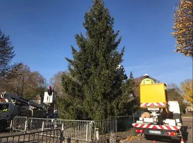 Mon Beau Sapin...72h pour t'habiller