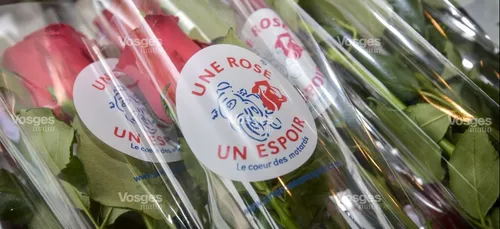 Une Rose, Un Espoir…