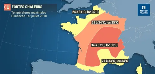Tous à l'ombre