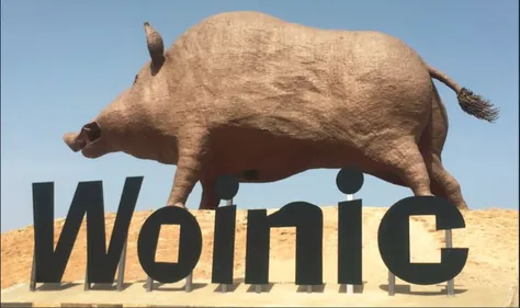 Bon anniversaire à Woinic