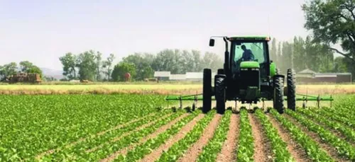 Ces agriculteurs qui ne prennent pas de vacances