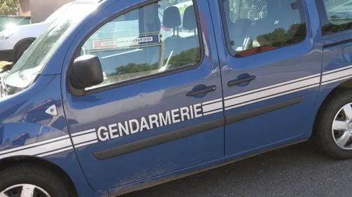 Des migrants, cachés au milieu d'une cargaison de bananes