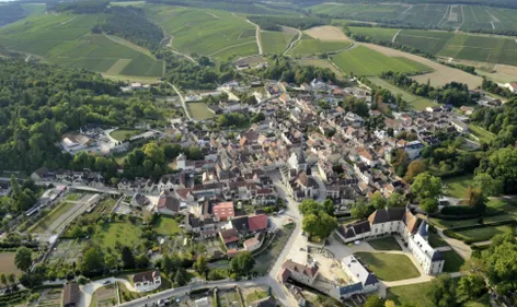 Le maire du village des Riceys veut un titre