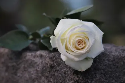 Une marche blanche pour Valentin