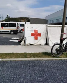 Déjà plus de 700 morts en Champagne-Ardenne