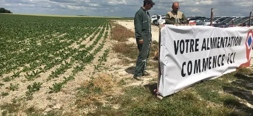 Du champ à l'assiette il n'y a qu'un pas