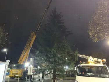 Mon haut sapin