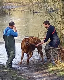 Sauvé des eaux