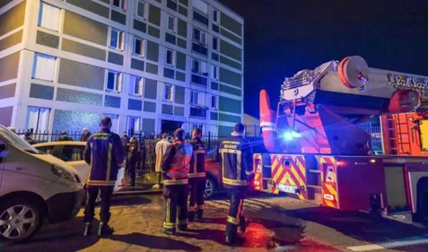 Elle n'a malheureusement pas survécu à ses blessures