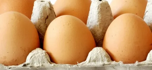 Contamination au Fipronil : une entreprise de Yutz également...