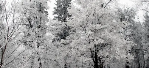 Fin de l'alerte verglas - neige dans l'Est