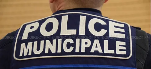 Lunéville: le conducteur était au téléphone lorsqu'il a renversé un...