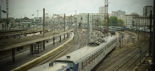 Trafic SNCF perturbé en lorraine à cause d’un sanglier