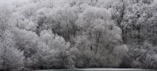 Météo :  le retour du froid ce week-end en Lorraine